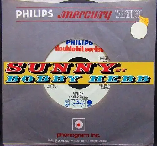 サニー SUNNY ブレッド　7㌅レコード Amazon.co.jp: サニー／ブレッド[EPレコード 7inch]: ミュージック