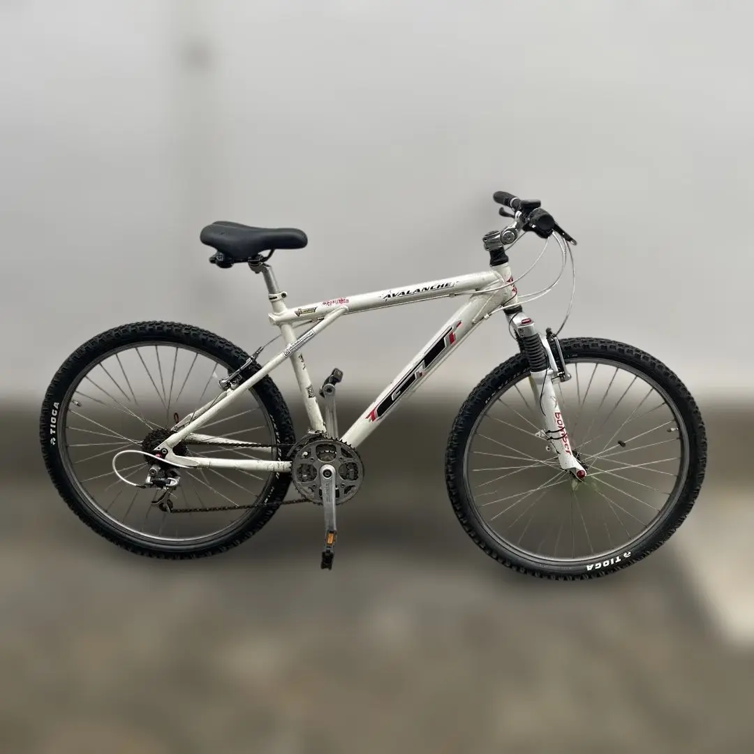 GT アバランチェ1.0 ディスクdeore kmc OLD MTB