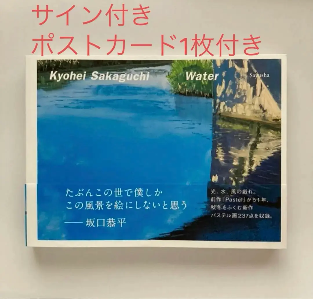 坂口恭平　カタログレゾネ 予約中！】 Amazon.co.jp: 坂口恭平 カタログ・レゾネ（世界限定