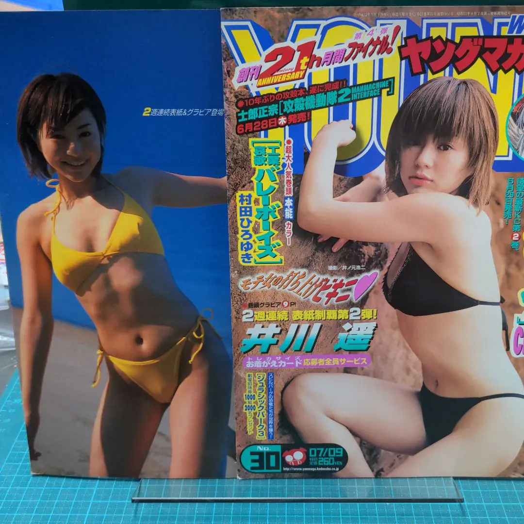 井川遥 グラビア切り抜き トレカ付き 週刊ヤングマガジン No.1045 講談社 週刊ヤングマガジン 2001年7月2日 No.29 井川遥 ビキニ20ページ