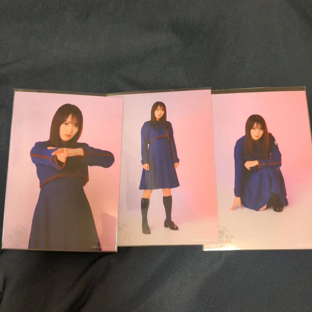 櫻坂46 菅井友香 卒業コンサート 生写真 4種 コンプ 不協和音 シークレット 公式サイト 櫻坂46 菅井友香 卒業コンサート 生写真 4種 コンプ