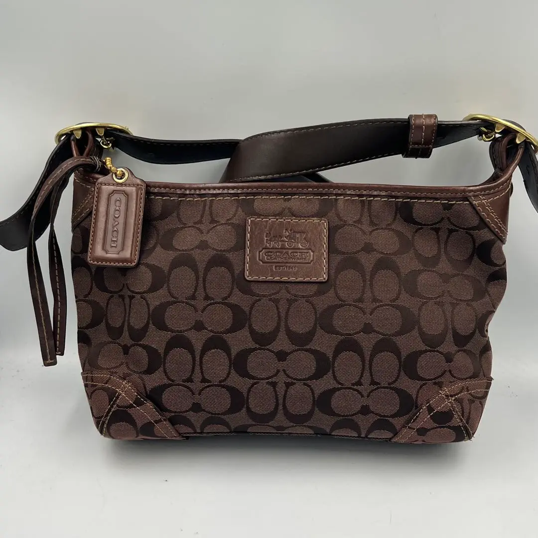 Brandol / COACH コーチ ミニトートバッグ シグネチャー ノース
