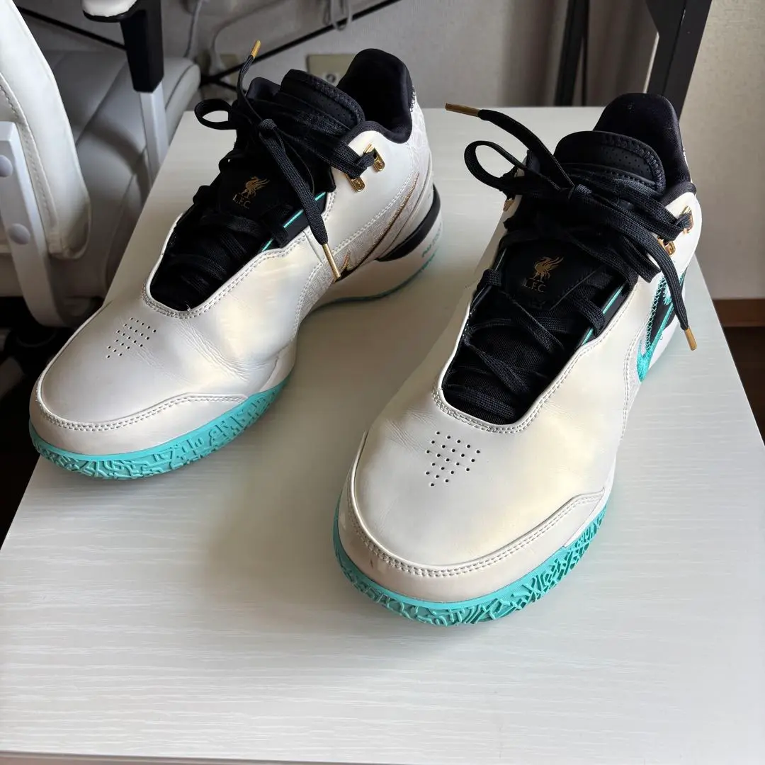2025年最新】leBron nxxt gen 29の人気アイテム - メルカリ
