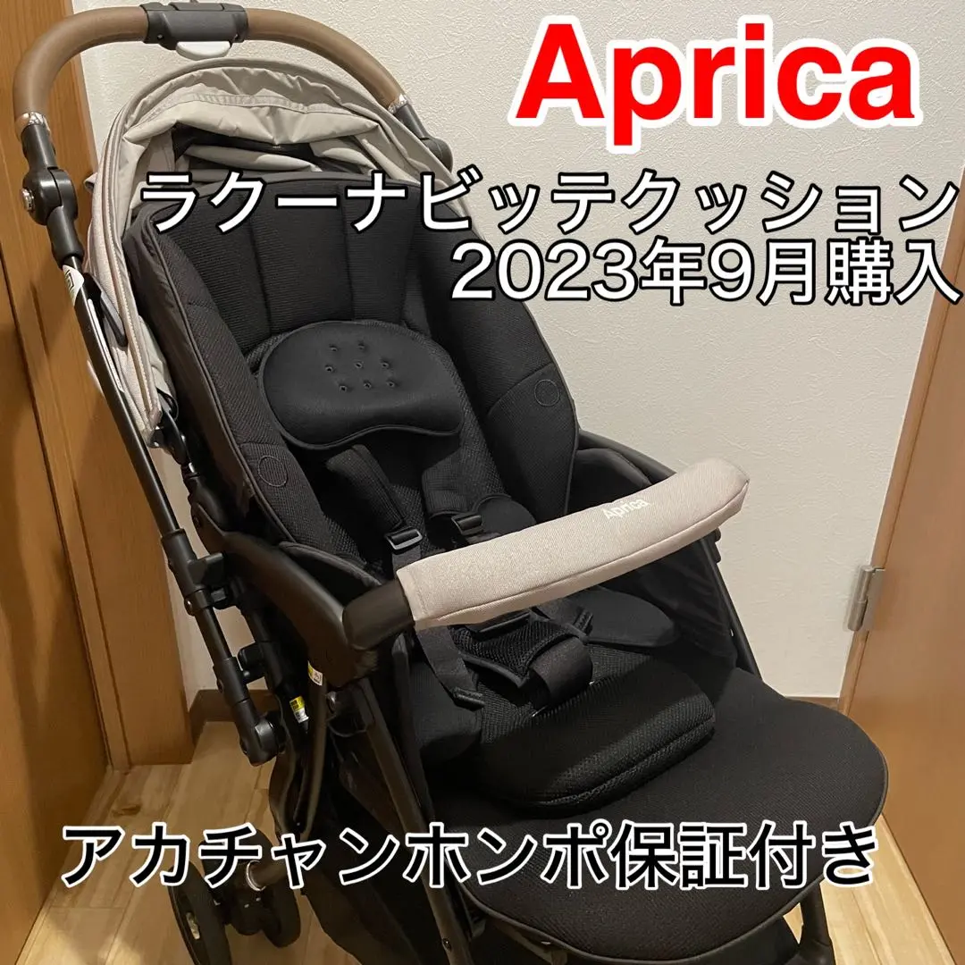 ラクーナ ビッテ クッション 限定モデル＜2023年