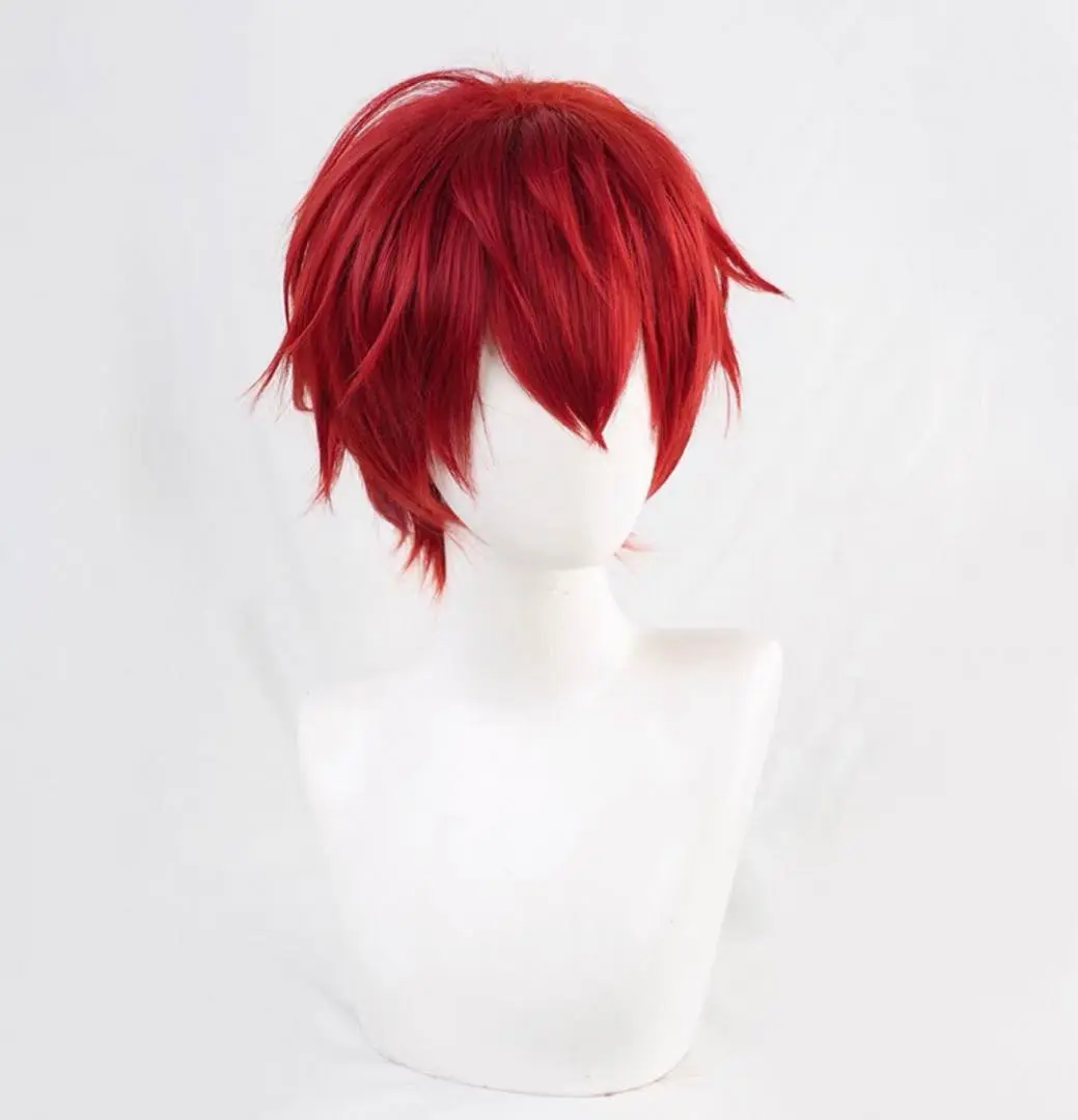 ミスラ　コスプレ　ウィッグつき　まほやく 魔法使いの約束風】ミスラの衣装 - コミックランド