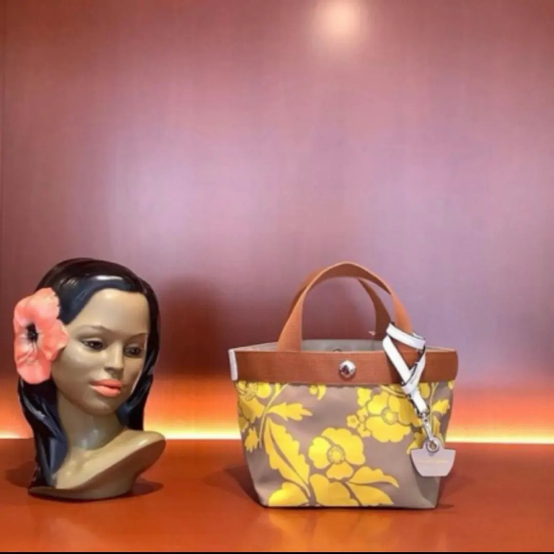 2025年最新】herve chapelier アラベスクの人気アイテム - メルカリ