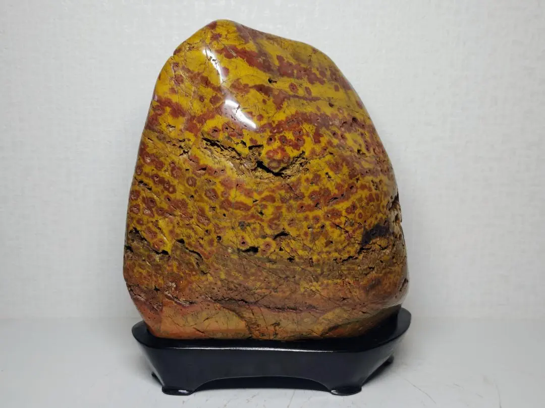 孔雀石　菊花石　2石セット　根尾　鑑賞石　水石　自然石　木製台座付き 菊花石2石 桜孔雀石 合計3石セット 磨き 根尾 鑑賞石 水石 自然