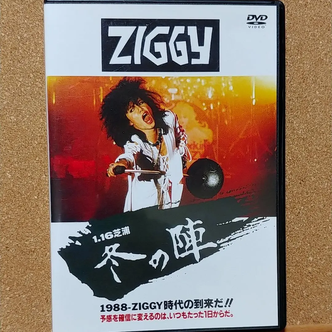激レア　非売品　フジコ・ヘミング　フィルムコンサート　2004 DVD オマケ付 激レア 非売品 フジコ・ヘミング フィルムコンサート 2004 DVD