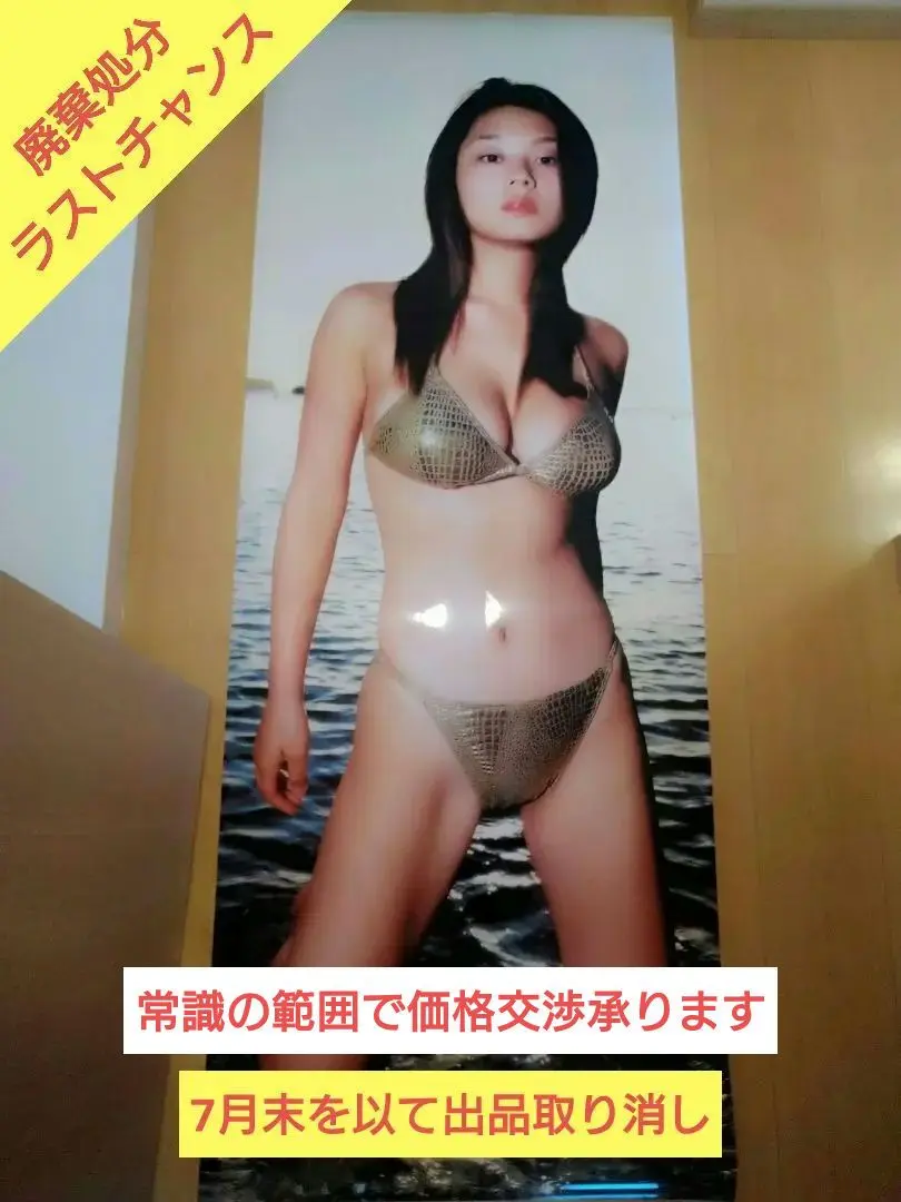 【デッドストック　廃棄処分価格】　小池栄子　等身大ポスター　未使用 Yahoo!オークション - 小池栄子 等身大ポスター