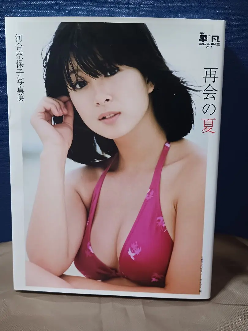 Yahoo!オークション - 河合奈保子 再開の夏2017 ポスター B2サイズ