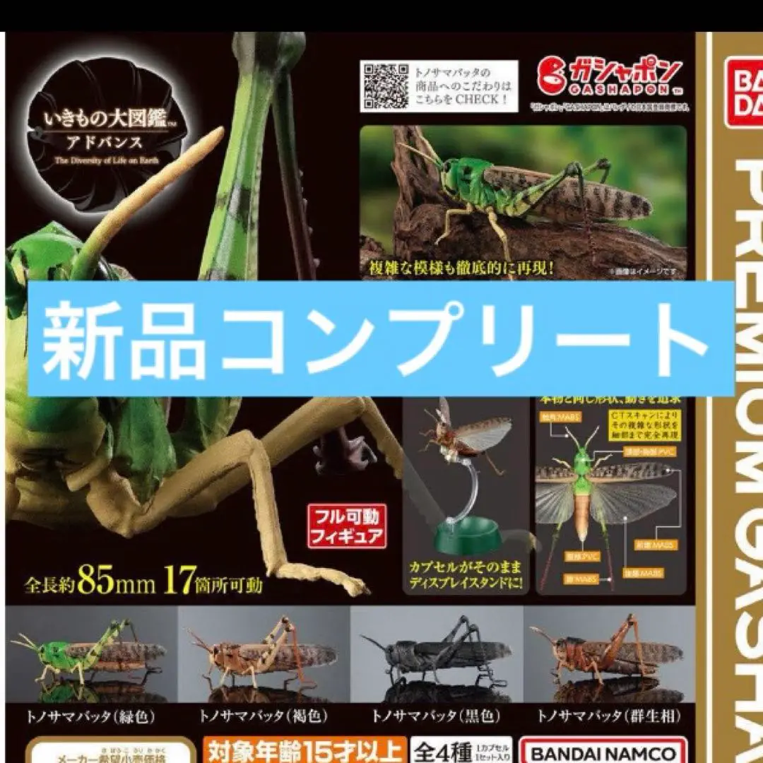 2025年最新】いきもの大図鑑アドバンス トノサマバッタの人気