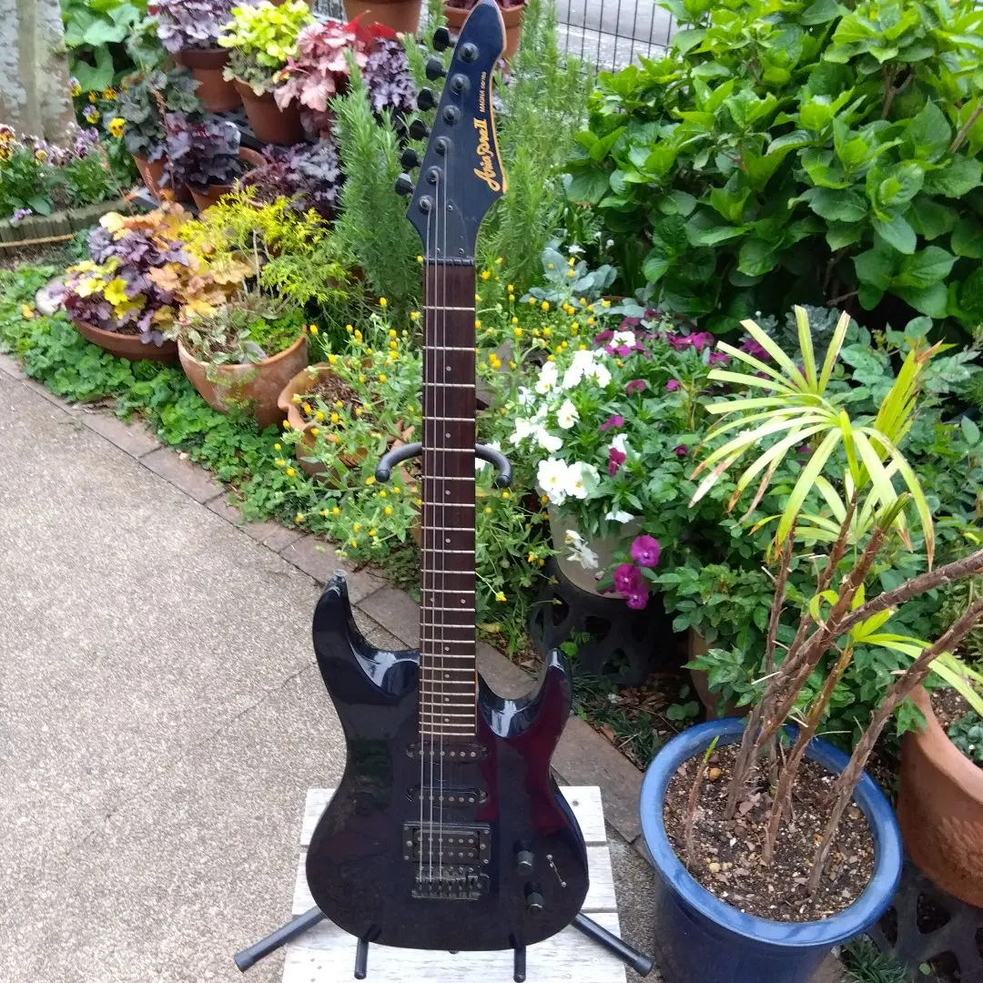 Aria Pro Ⅱ magna series MA-38 弦新品 ソフトケース Aria Pro Ⅱ magna series MA-38 弦新品 ソフトケース