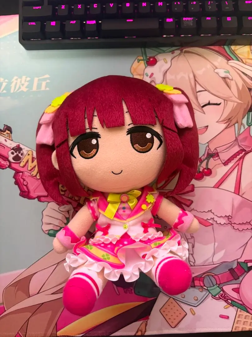 2025年最新】緒方智絵里 ぬいぐるみの人気アイテム - メルカリ