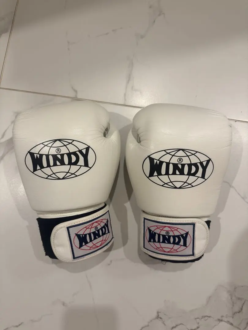 WINDY ボクシンググローブ・ミット　まとめ売り 楽天市場】【送料無料】Windy ウィンディー ボクシンググローブ