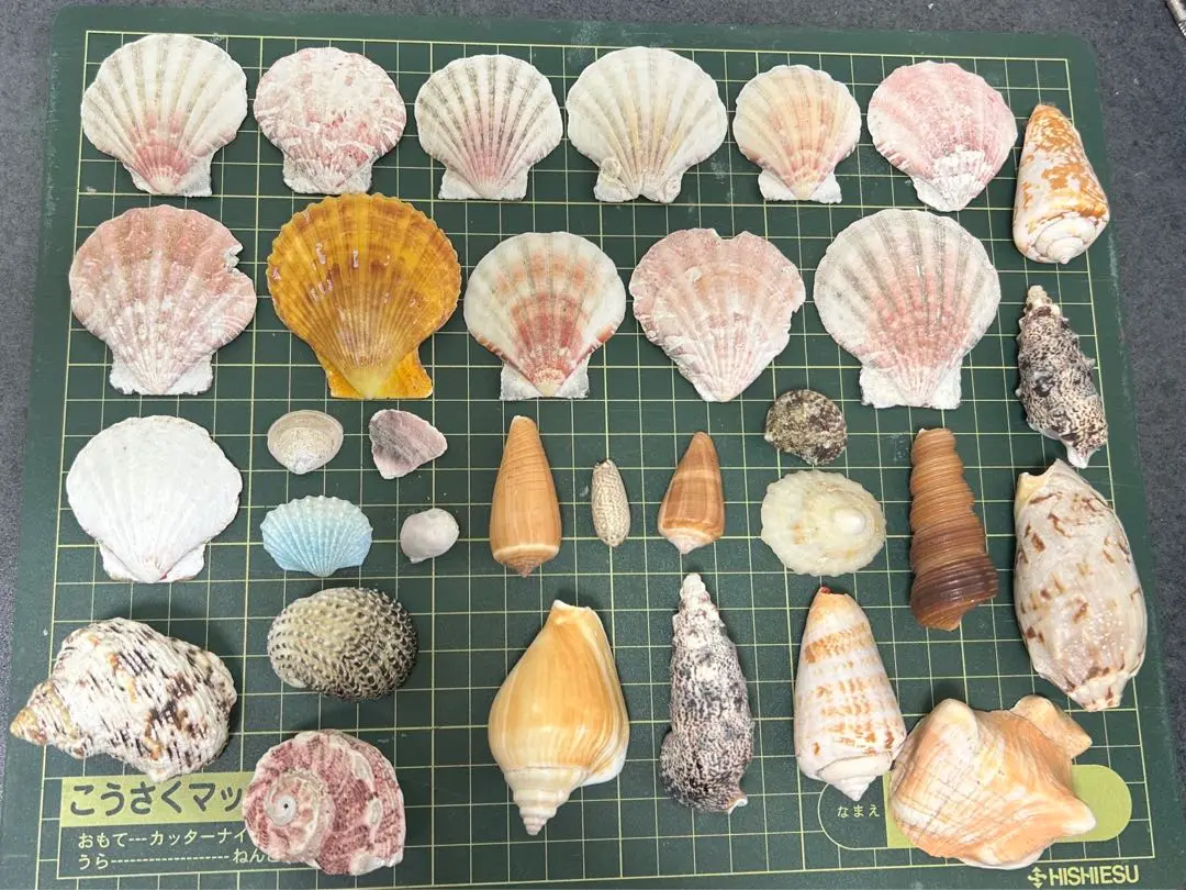 【貴重品】マリンピア松島水族館　メモリアル　グッズ　セット 貴重品】マリンピア松島水族館 メモリアル グッズ セット