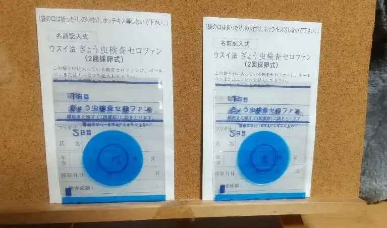 2025年最新】ぎょう虫検査の人気アイテム - メルカリ