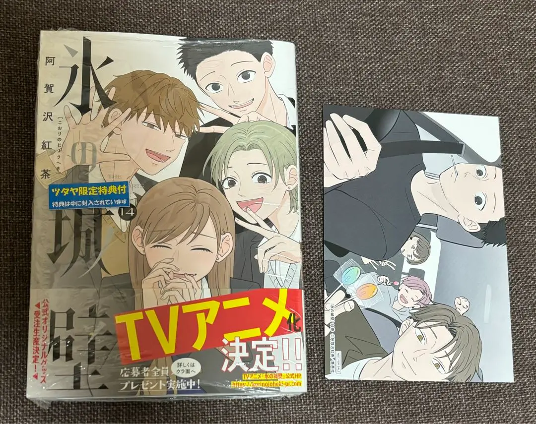 氷の城壁 全巻セット 阿賀沢紅茶　アニメイト　TSUTAYA 特典付き 氷の城壁 全巻セット（全14巻） | 八文字屋OnlineStore