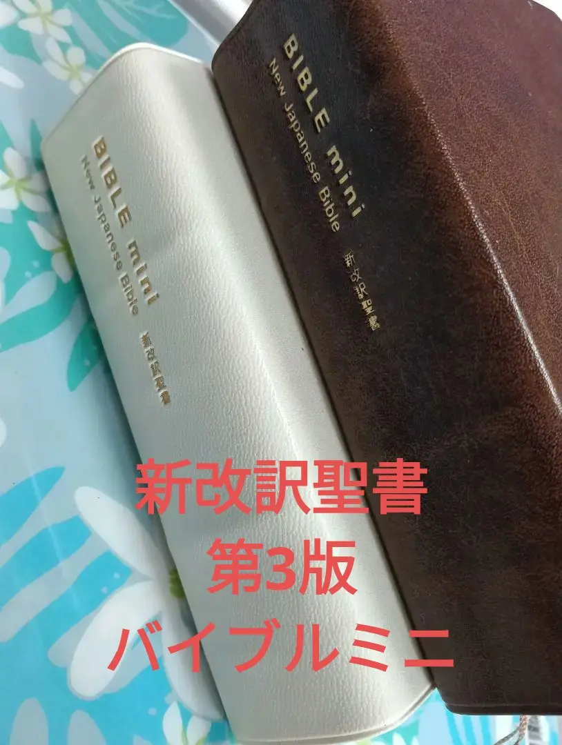 新改訳聖書　第3版　BIBLE mini 中古　2冊セット　聖書　バイブルミニ 2025年最新】聖書 新改訳 3版の人気アイテム - メルカリ