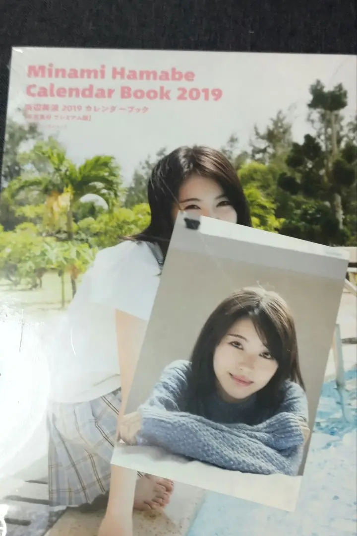 浜辺美波／２０１８年カレンダーブック、２０１９年カレンダーブック２冊セット販売 浜辺美波 2019カレンダーブック 【写真集付 プレミアム版】: 本
