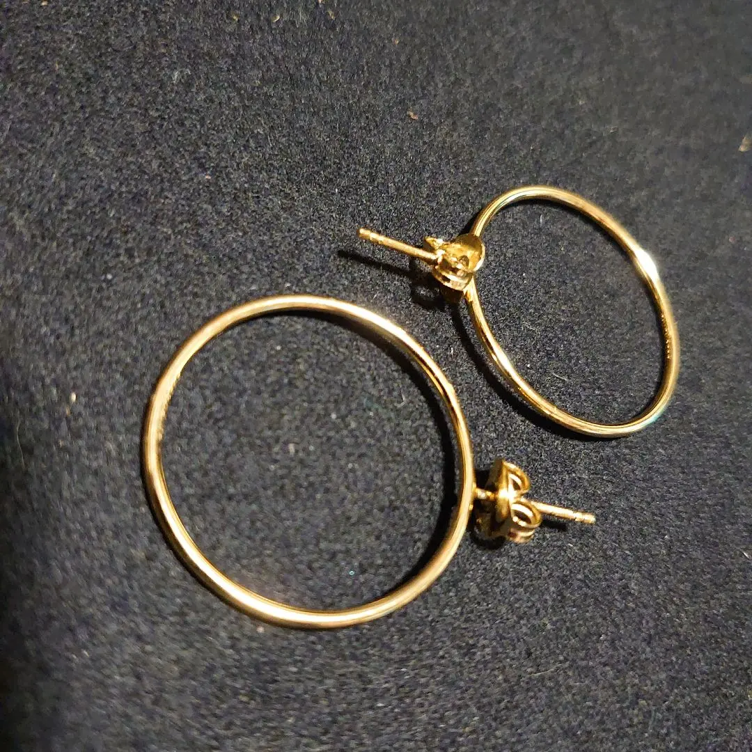 美品⭐︎お値下げ⭐︎D’HEYGERE ディヘラ ピアス D'heygere（ディヘラ）の「Mini Stud Hoop（ピアス（片耳用