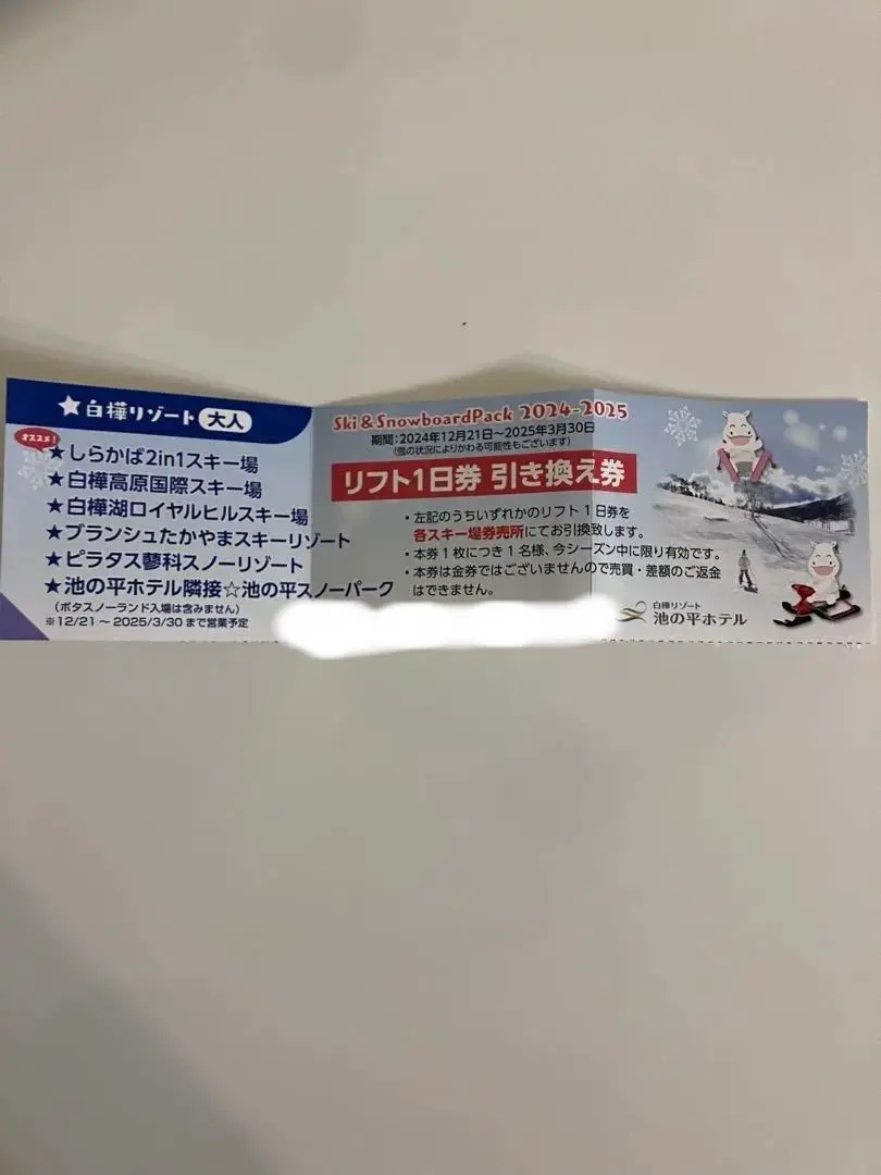 白樺湖 HILLスキー場　リフト１日券 引換券　ペア 共通スキーリフト1日券（引換券） 2025シーズン - 群馬県片品村