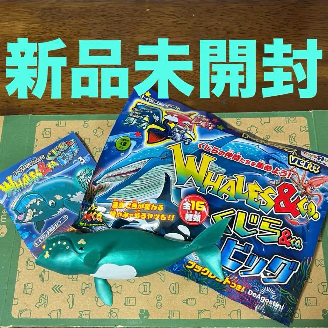 【新品未開封】くじら&co コンプリートセット くじら＆Co ビッグ 全16種セット コンプリートセット WHALES＆Co