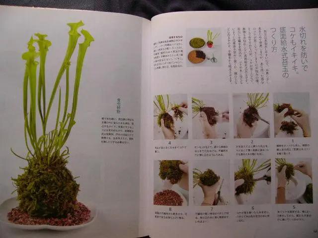 新版　盆栽小鉢図鑑　盆栽鉢 盆栽小鉢図鑑・現代小品鉢作家名鑑・自然と野生ラン4月号増刊