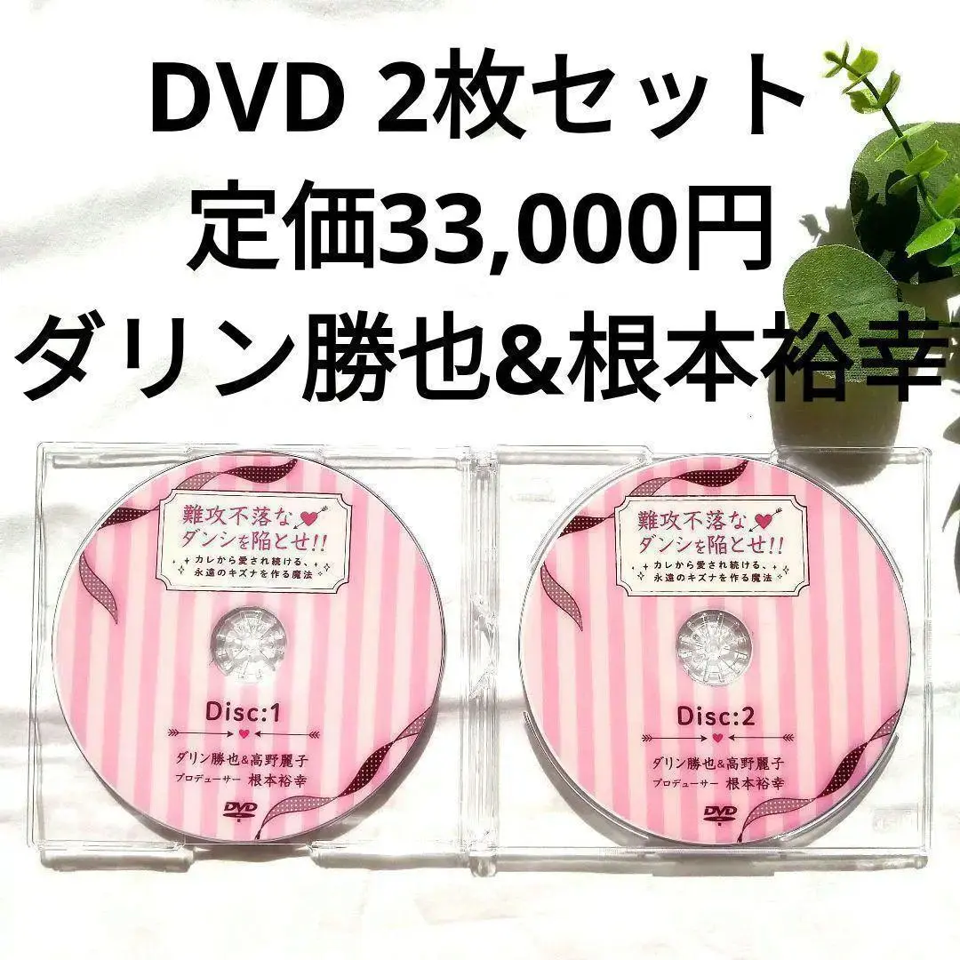 高野麗子 お一人様起業の流れセキララセミナーDVD 30万稼ぐ 高野麗子 お一人様起業の流れ☆セキララセミナー☆DVD 30万稼ぐ