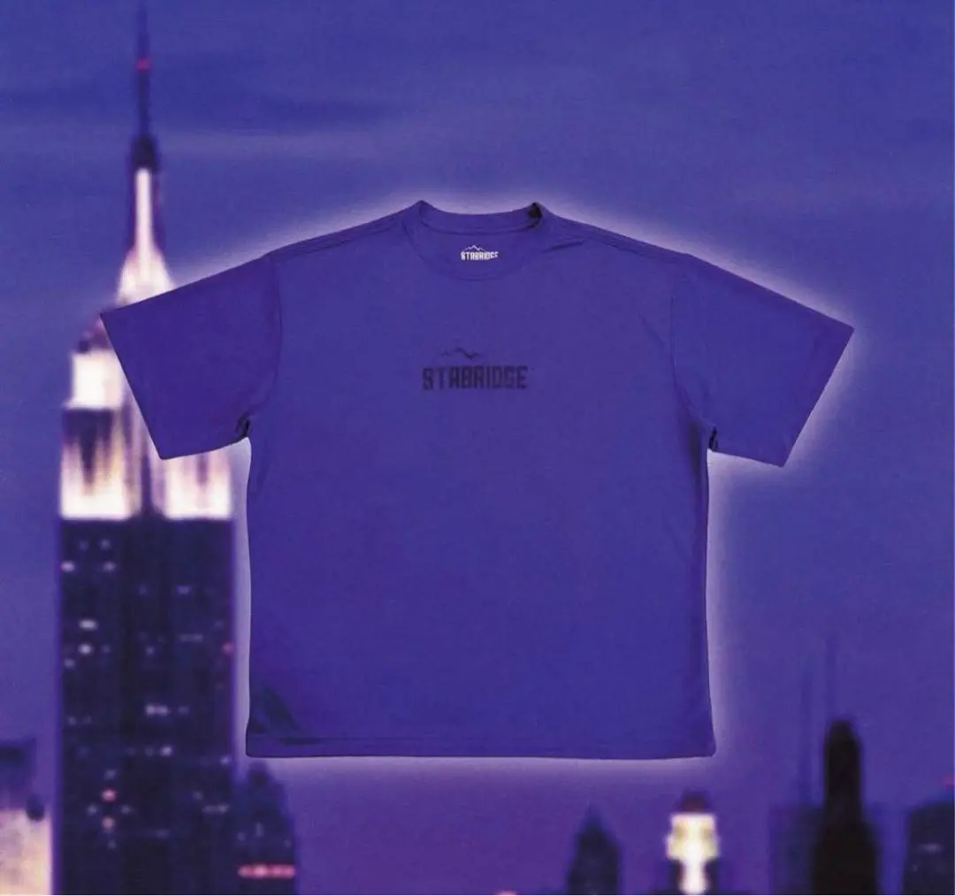 トップス STABRIDGE Quick Dry Tee Sky Blue the Apartment | 明日6/14(土)に