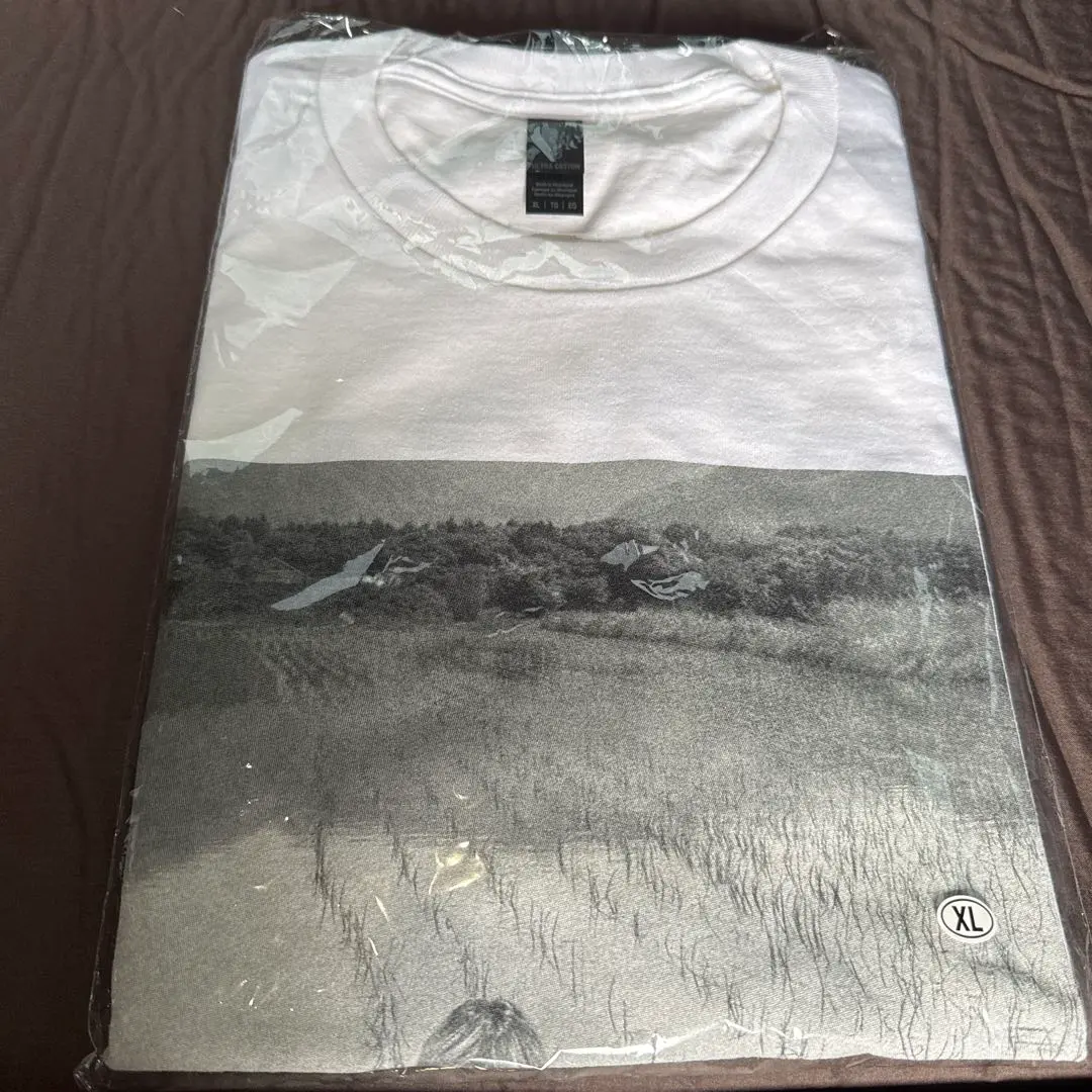 Amazon.co.jp: KEN YOKOYAMA スクープTシャツ XLサイズ
