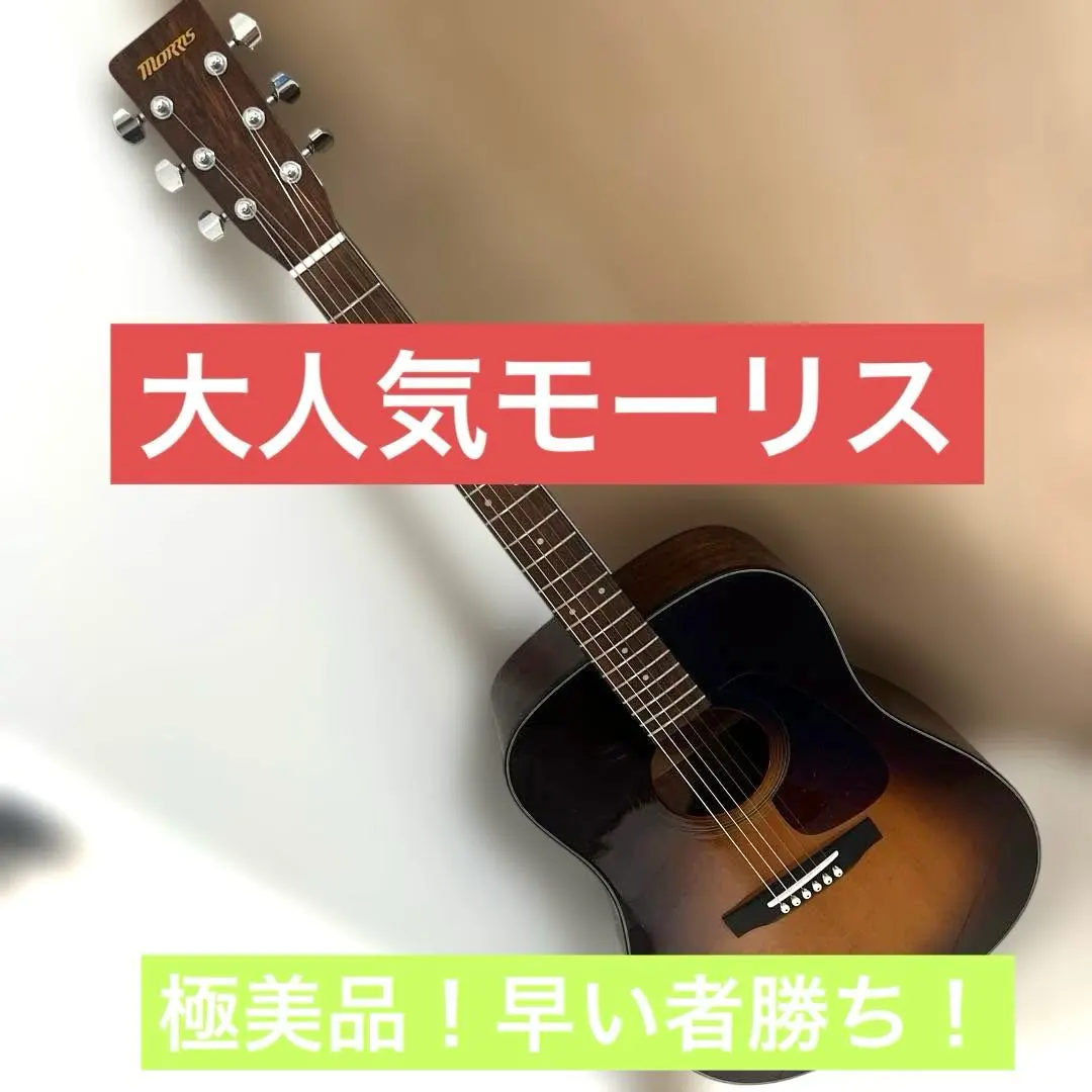 Morris MD-256TS アコースティックギター 豪華で新しい 生産完了品 | MD-256 | モーリスギター GUITARS