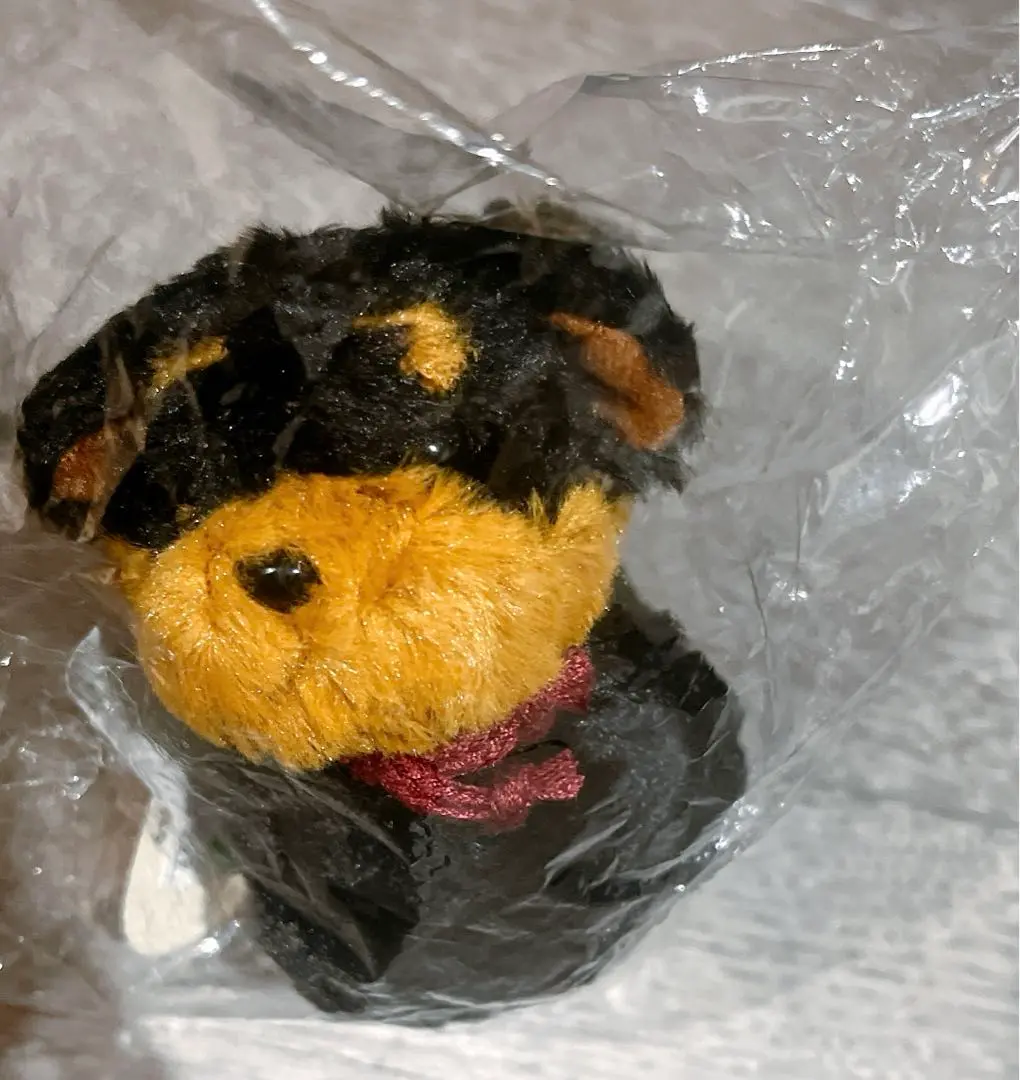 プチフォンテーヌ ぬいぐるみ 犬 ぬいぐるみ タケノコ まとめ売り たけのこ】 プチ・フォンテーヌ 【いぬ】 - 【ぷちぽっけ通販