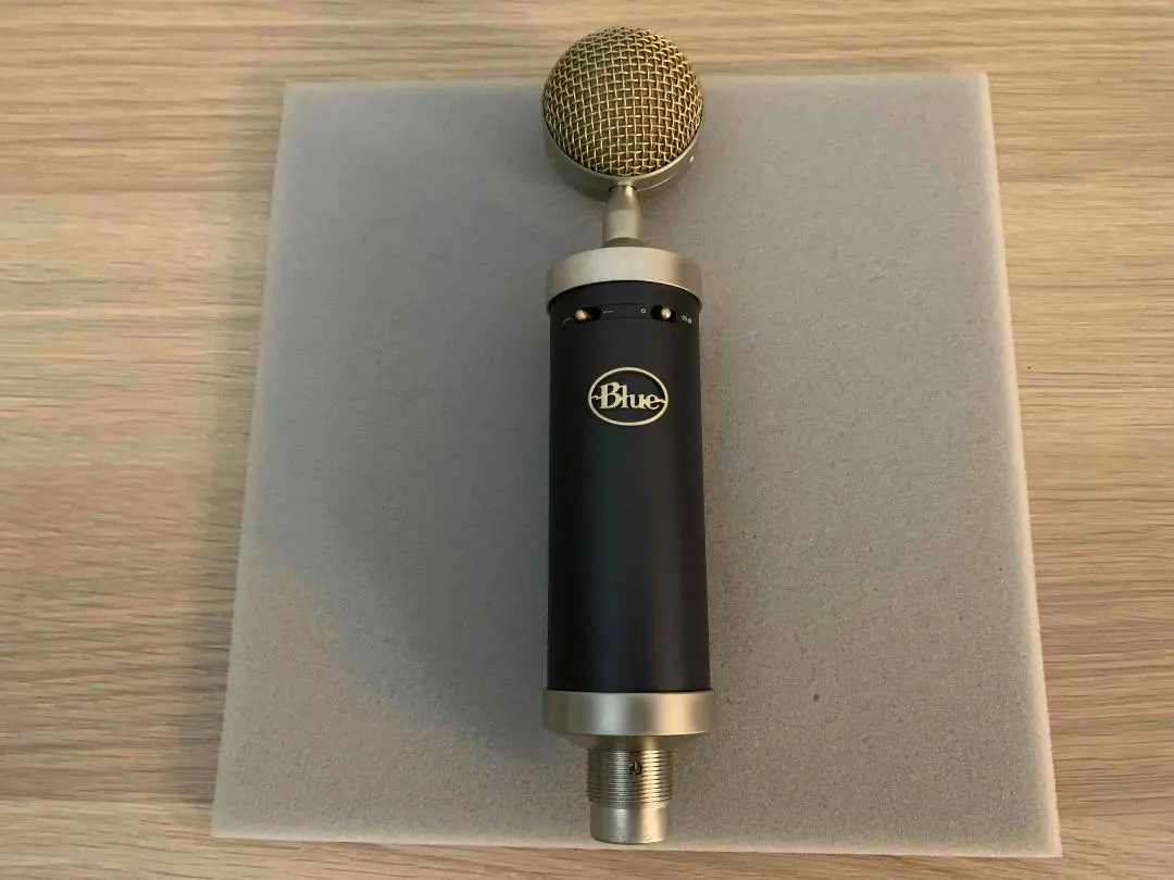 2025年最新】Blue Microphones baby bottleの人気アイテム