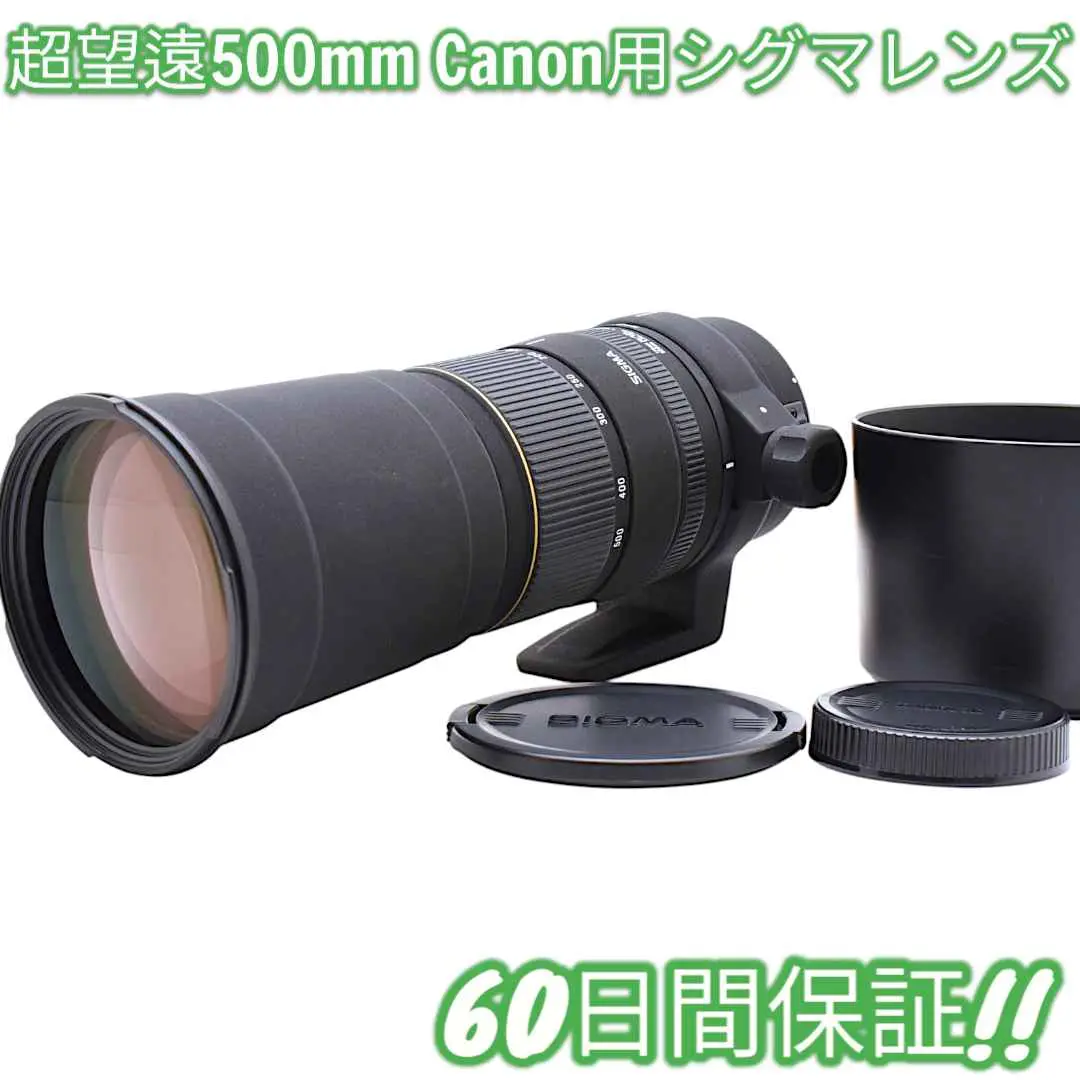 2025年最新】APO 170-500mm F5-6.3 DGの人気アイテム - メルカリ