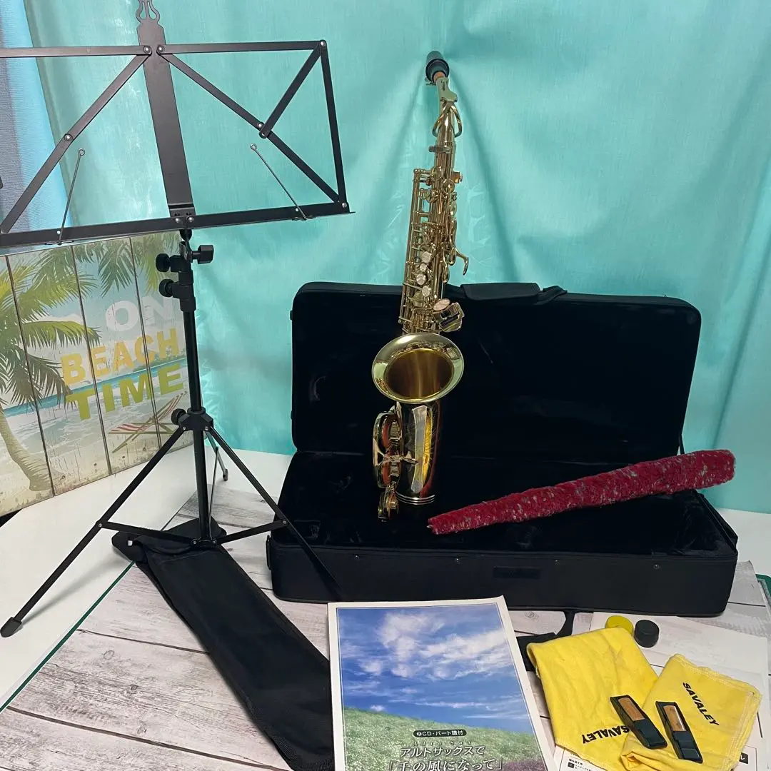 ヴィンテージ？ SELMER アルトサックス ジャンク (アルト