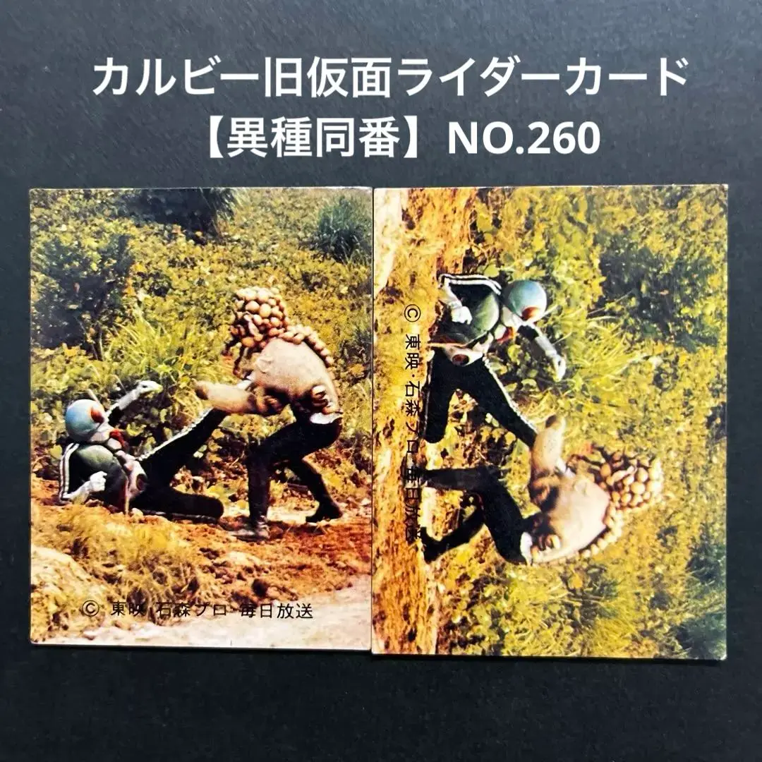 ライダーカード48番(異種) カルビー仮面ライダーカード異種同番NO.48【復刻版】 - メルカリ