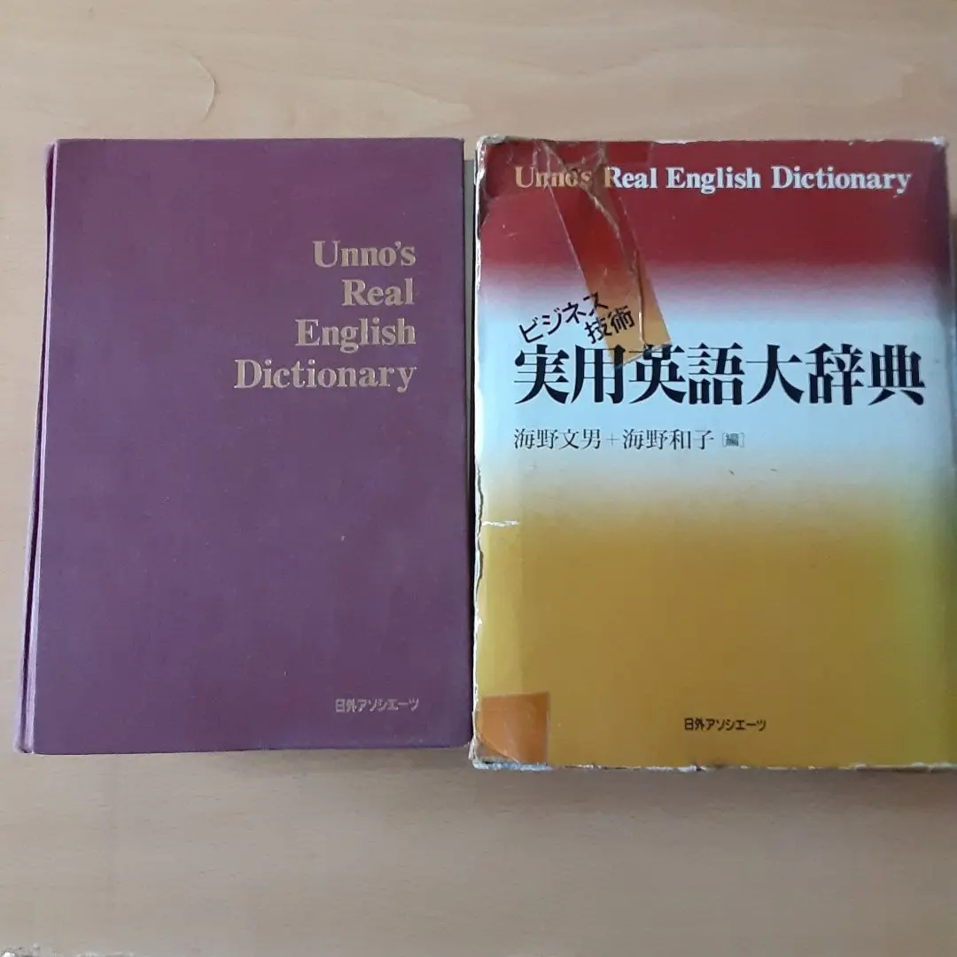 ビジネス技術実用英語大辞典V6 英和・和英 CD-ROM | 海野文男