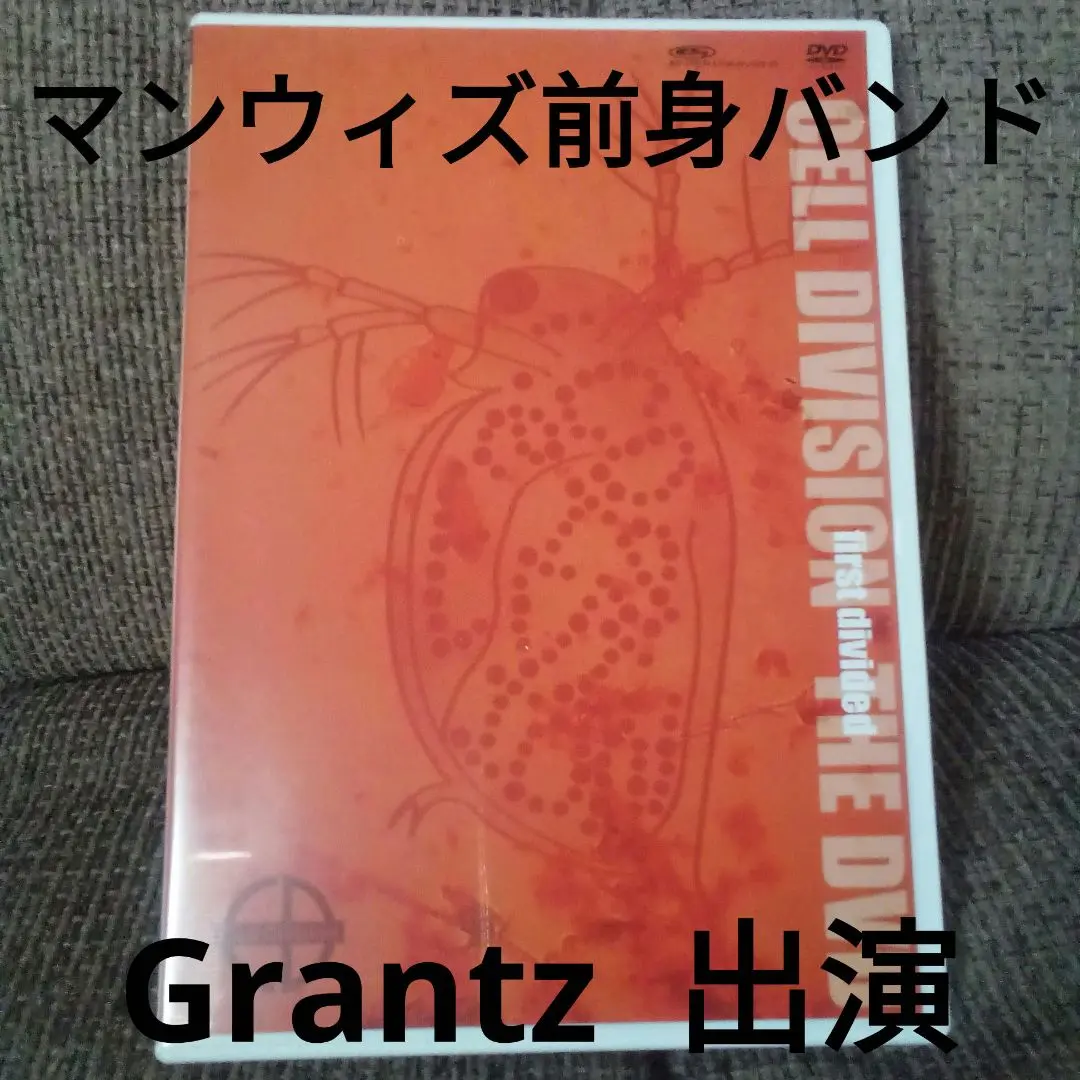 Grantz マンウィズ前身バンド 中古CD Grantz マンウィズ前身バンド 中古CD - メルカリ