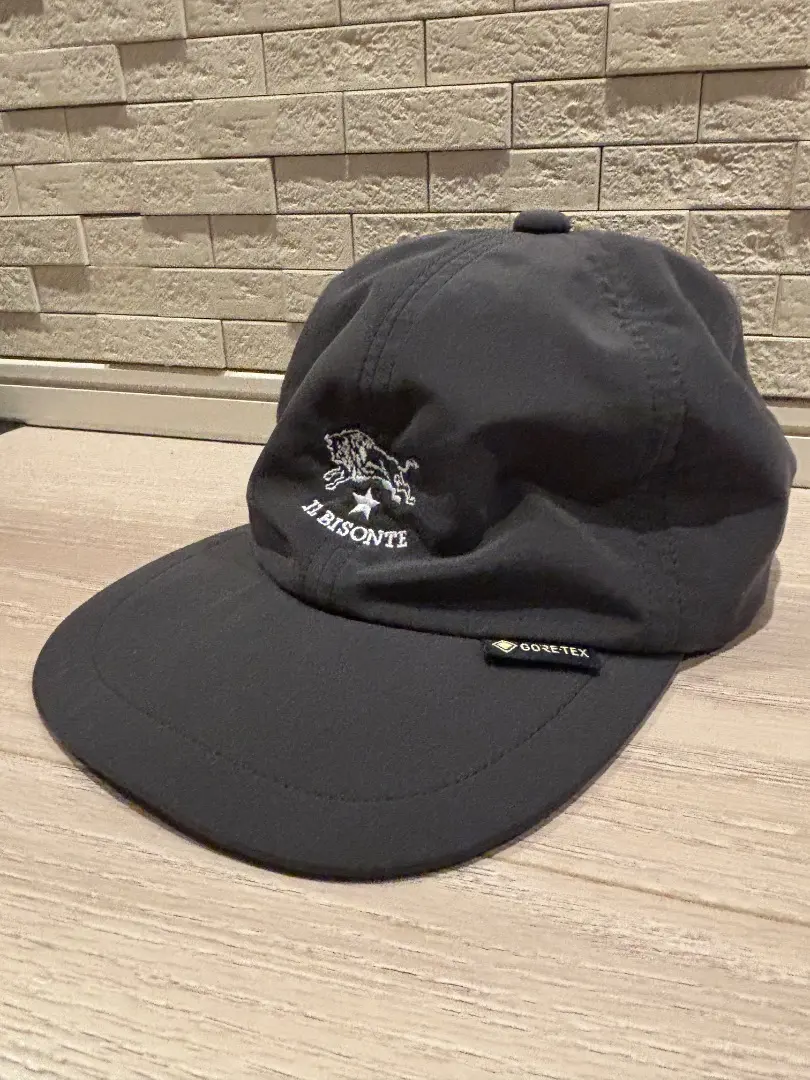 ✨新品未使用✨完売品 イルビゾンテ × ミズノ ゴアテックス 黒 キャップ 2025年最新】イルビゾンテ ミズノ キャップの人気アイテム