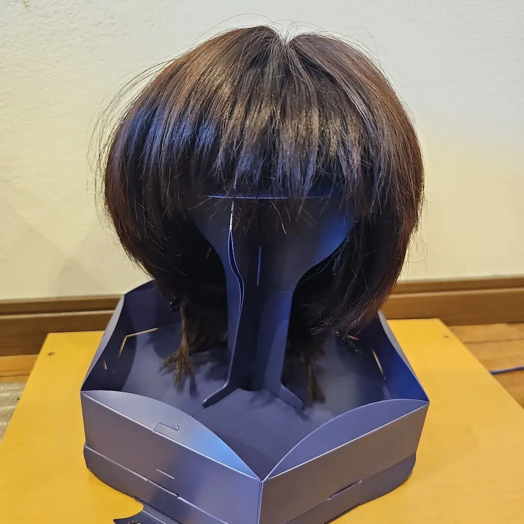 Thumbnail of Limited Time Sale!! Excellent Condition!! Fontaine Full Wig VR04 R141