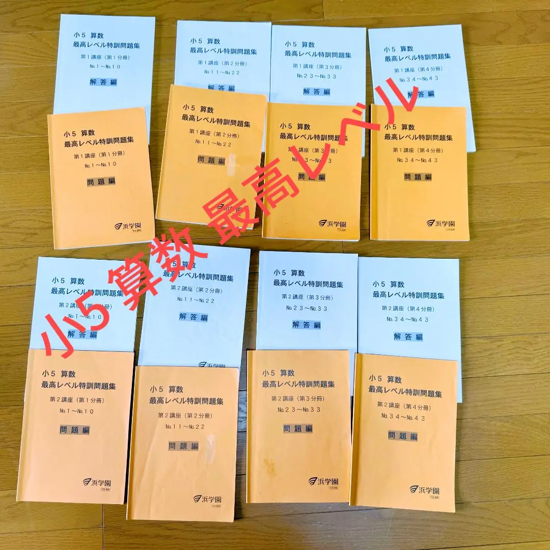 【フルセット】浜学園 小５ 最高レベル特訓 算数 難問解説集一式 2025年最新】浜学園 小5 最高レベル特訓 難問解説集の人気