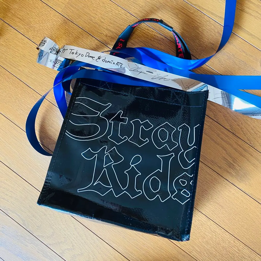 2025年最新】StrayKids dominate アプグレ ランチバッグの人気