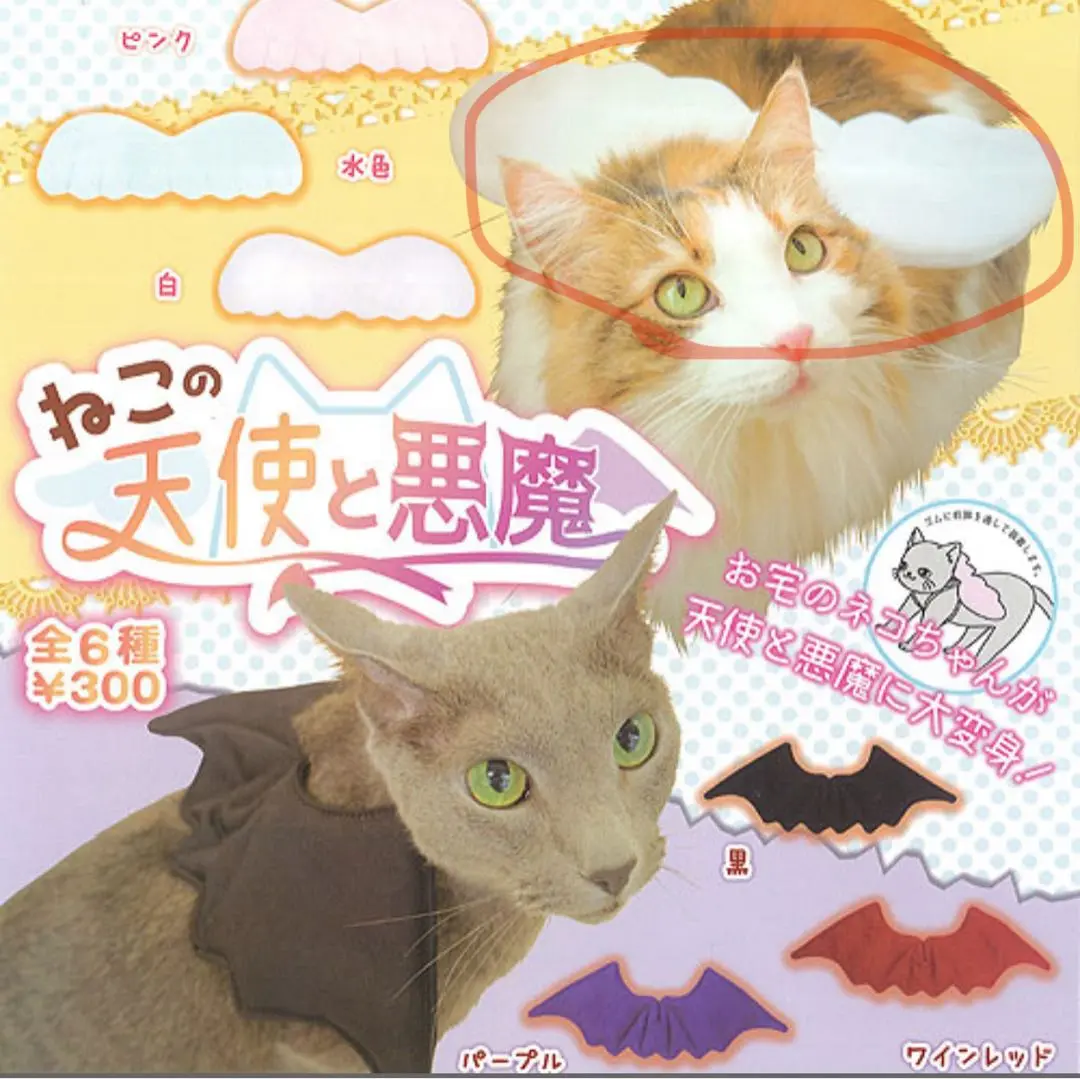 Thumbnail of cat dog Halloween angel
