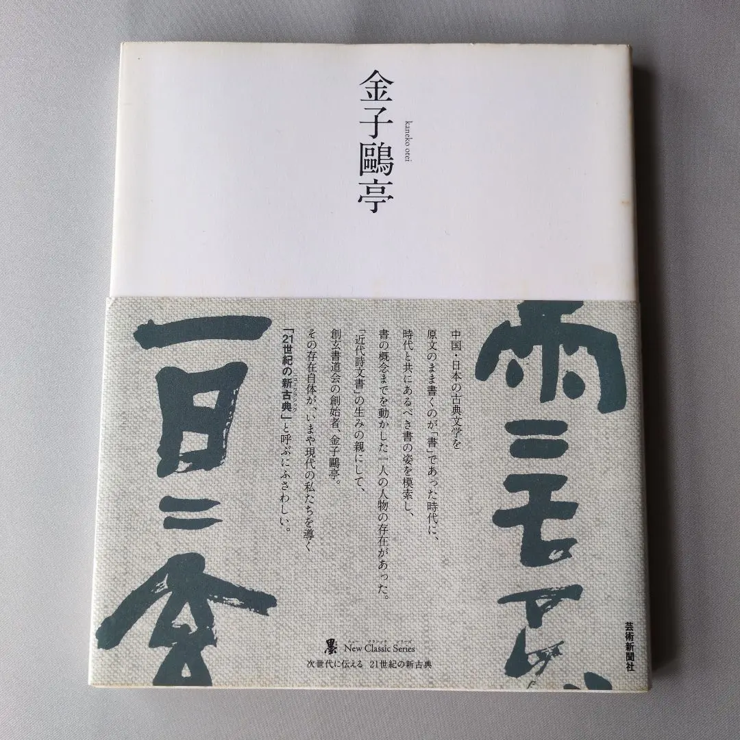書家 金子鷗亭 書掛軸 書道 しみあり 共箱 文化勲章 師天来 書家 金子鷗亭 書掛軸 書道 しみあり 共箱 文化勲章 師天来