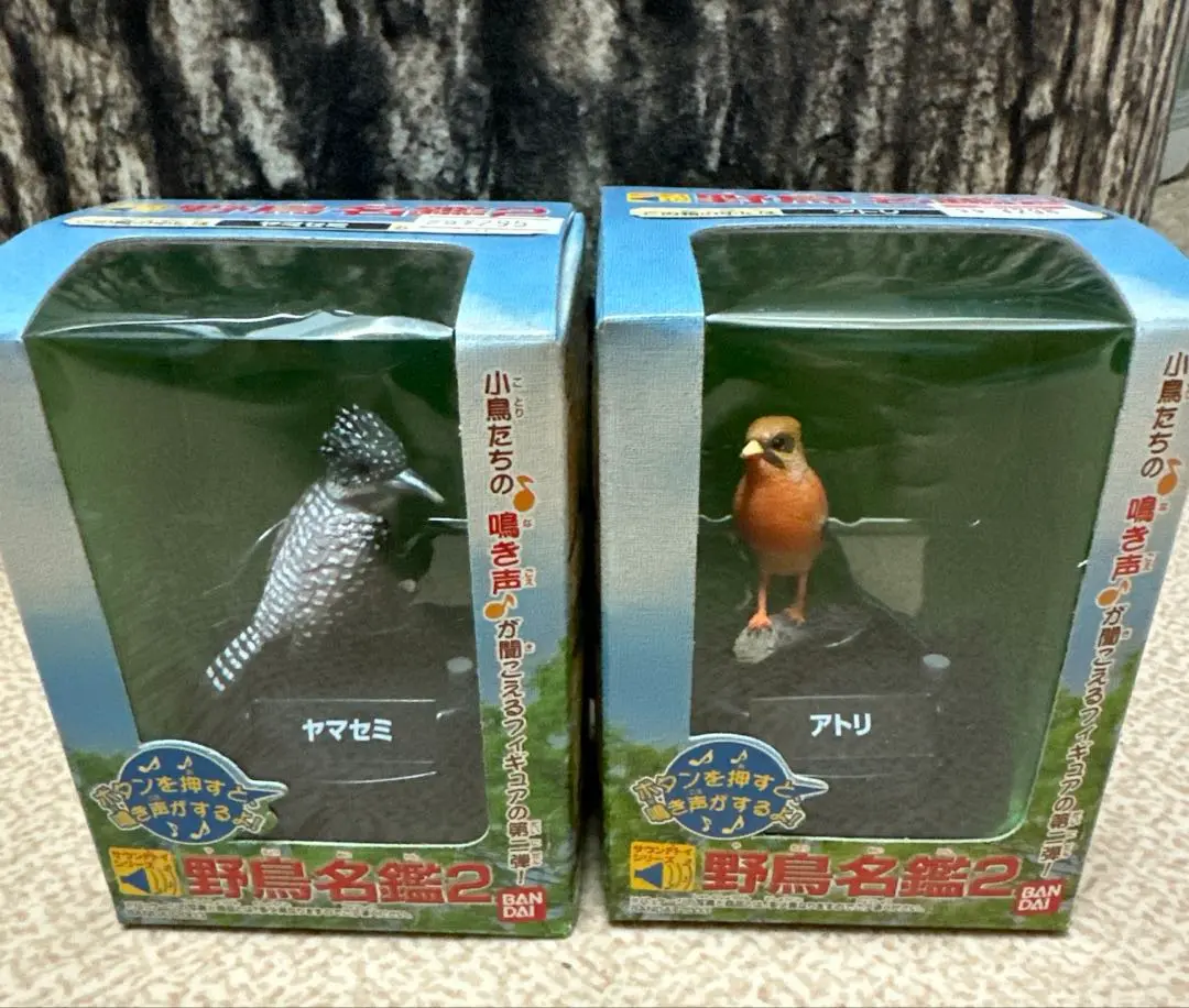 2025年最新】野鳥名鑑の人気アイテム - メルカリ