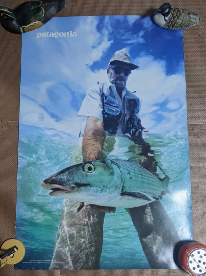 patagonia パタゴニア ポスター 額装品 特大 96cm×66cm Amazon.co.jp: A4 額付き ポスターPatagonia パタゴニア Sunrise