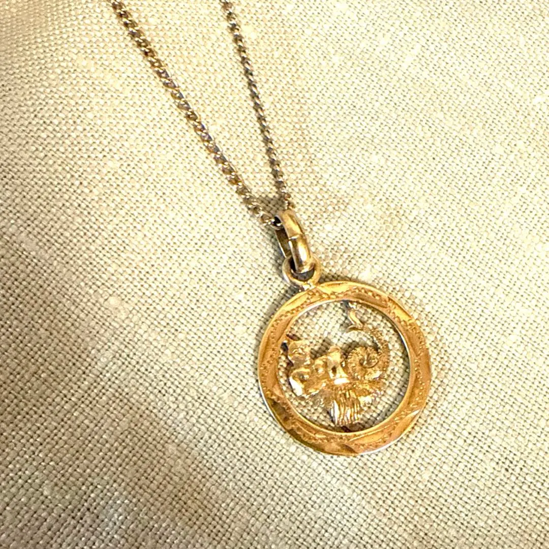 Thumbnail of Vintage Aquarius Motif Silver 925 Pendant