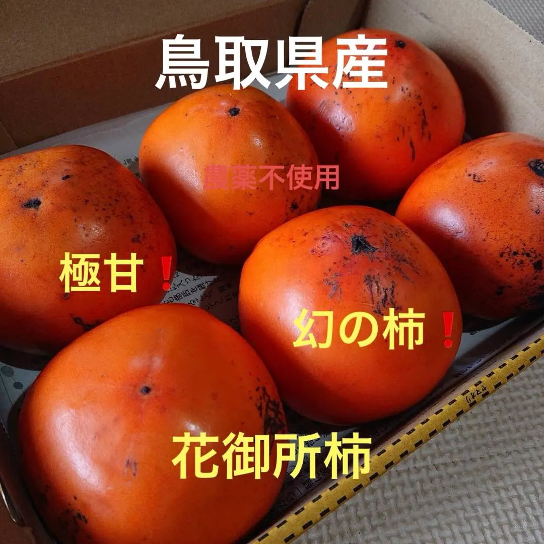 昌ちゃんのママ　専用　花御所柿　10kg箱 楽天市場】花御所柿の通販