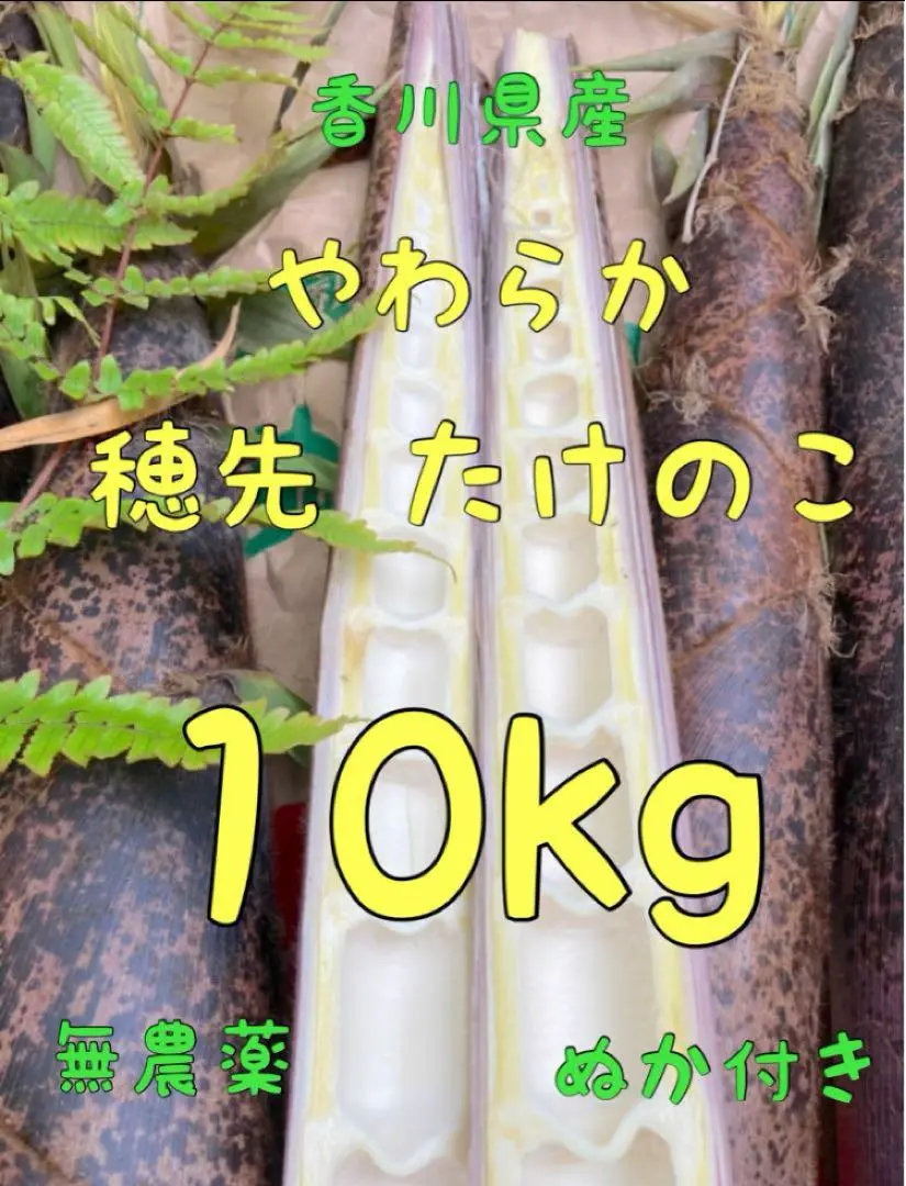 千葉県産無農薬たけのこ10kg 803c97dca9b4dc1fcad49b9145c10f