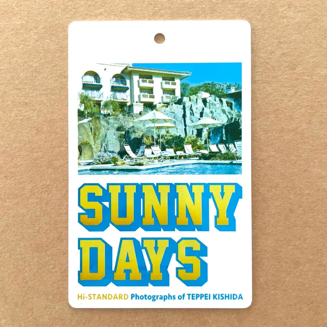 Hi-STANDARD SUNNY DAYS Tシャツ ハイスタ 岸田哲平 2025年最新】SUNNY DAYS Hi-STANDARD の人気アイテム - メルカリ